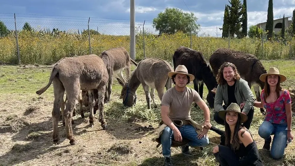 Equipo de Seres Libres en el campo junto a los burros rescatados